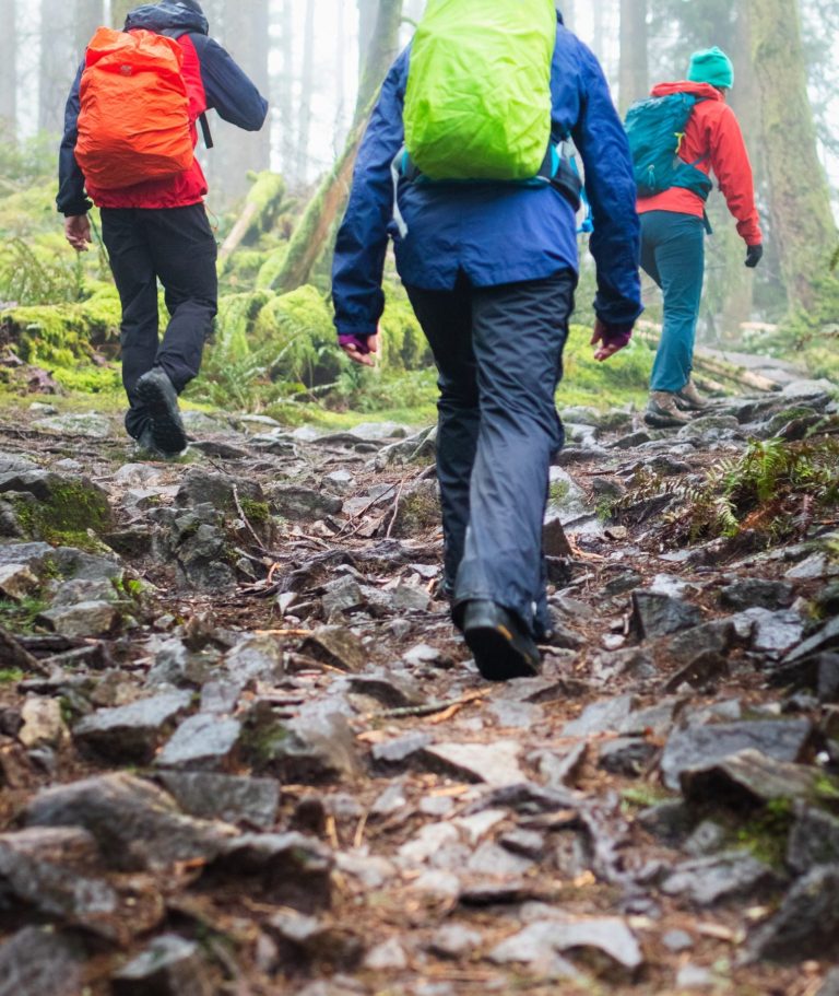 Eine Gruppe Wanderer mit Regenschutzkleidung.